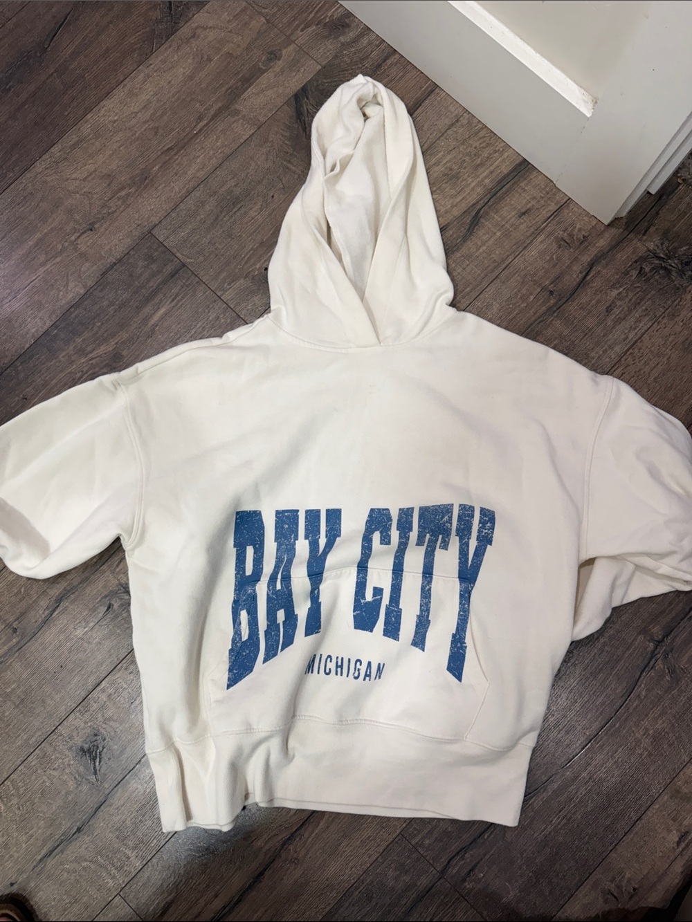 Bay City Michigan White Hoodie with Blue Logo - PacSun